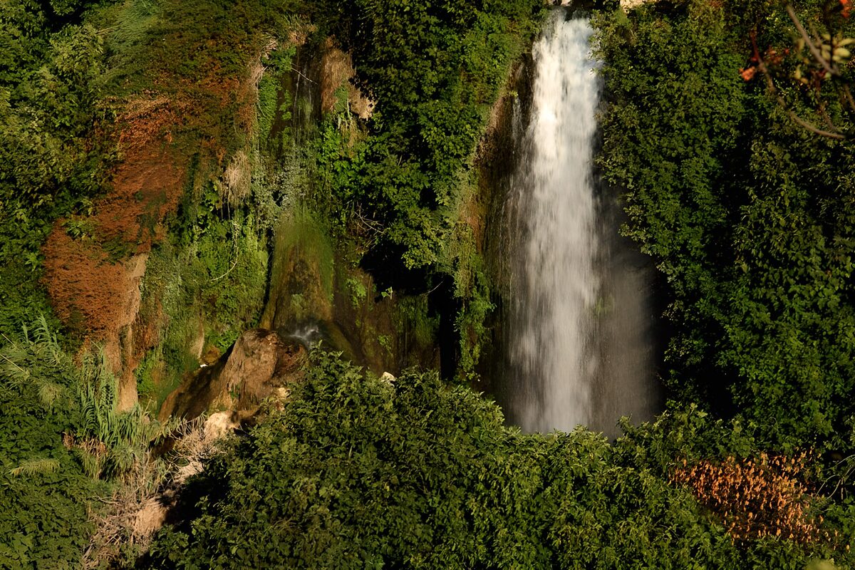 Serene Cascade in Lush Greenery