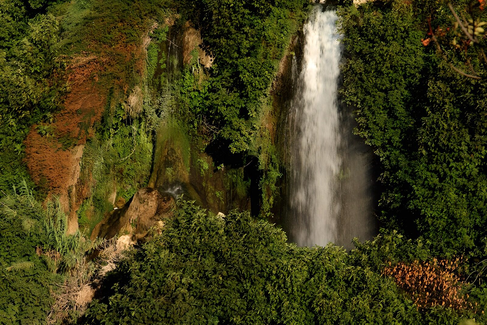 OCCOM1776666: Serene Cascade in Lush Greenery