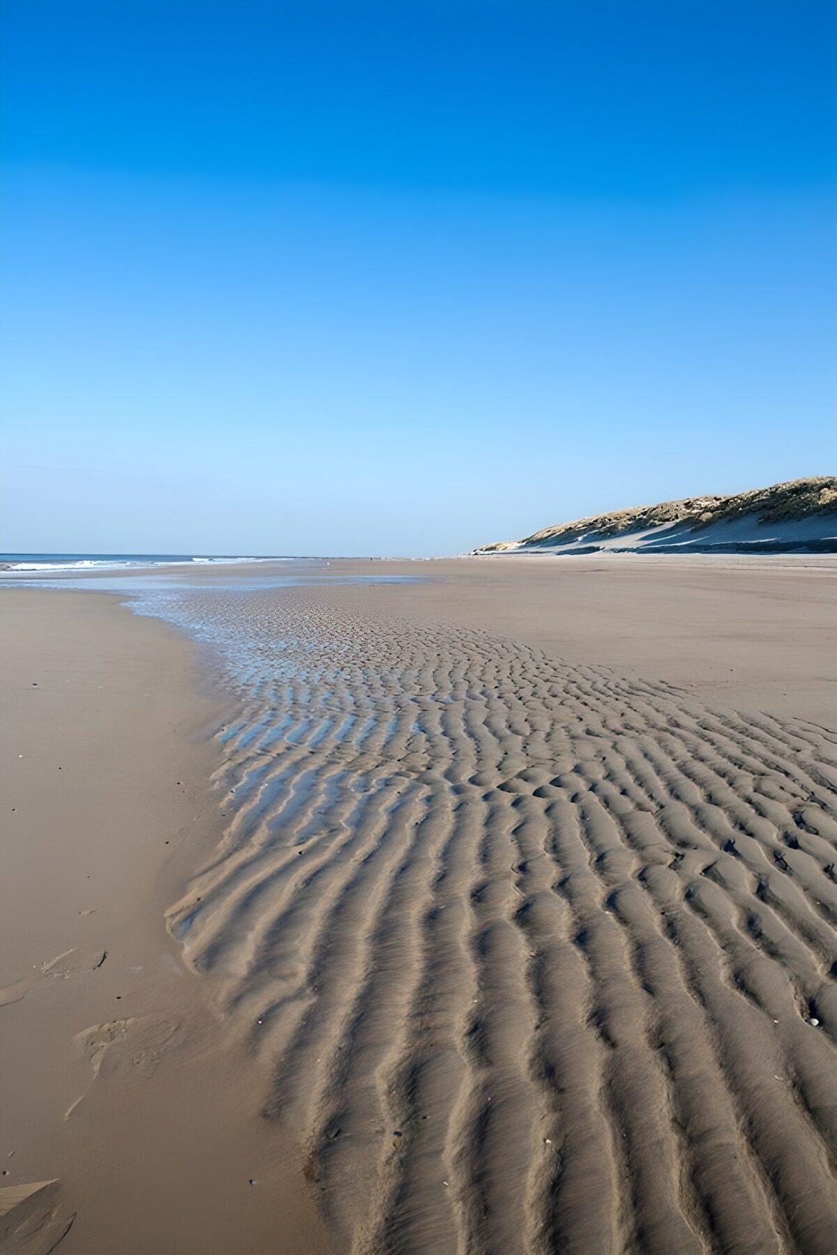 OCCOM8423743: Serene Beach Waves and Blue Sky