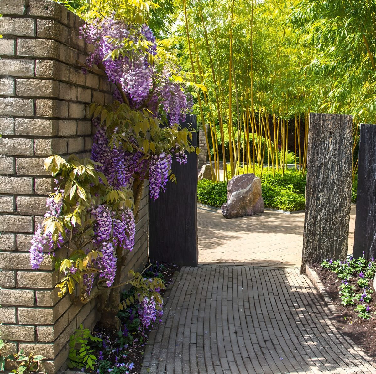 Tranquil Garden Pathway