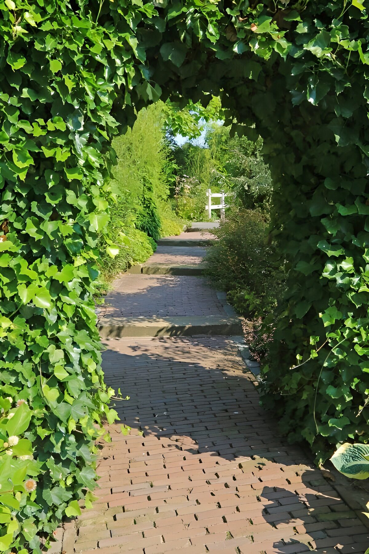 OCCOM9297468: Serene Garden Pathway