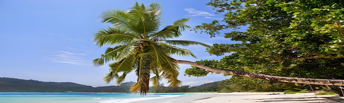 Tropical Paradise Getaway