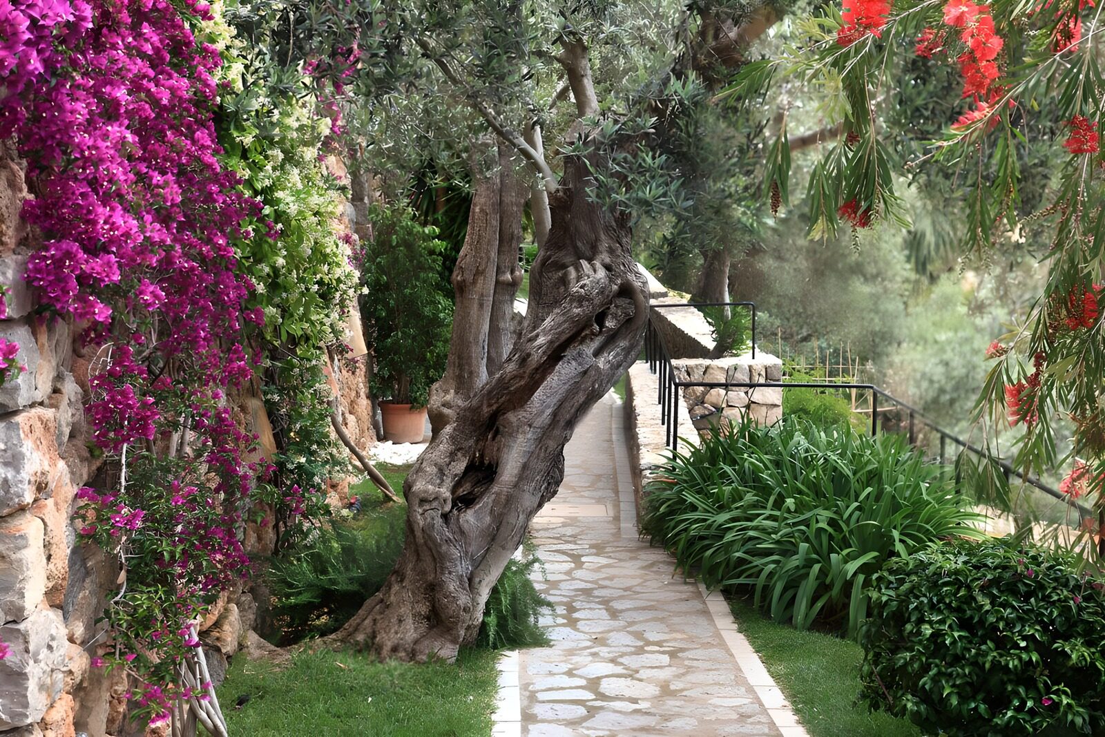 OCCOM6567440: Tranquil Garden Pathway
