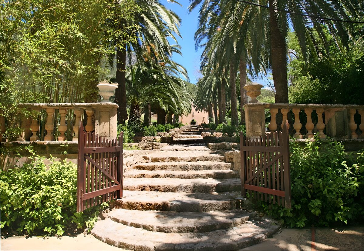 Serene Stone Pathway Among Palm Trees