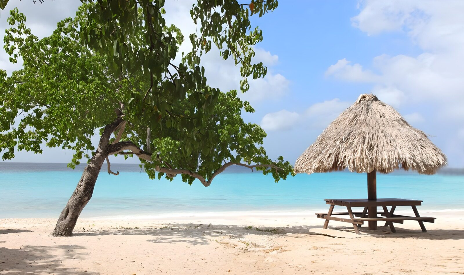 OCCOM8414827: Serene Beach Retreat