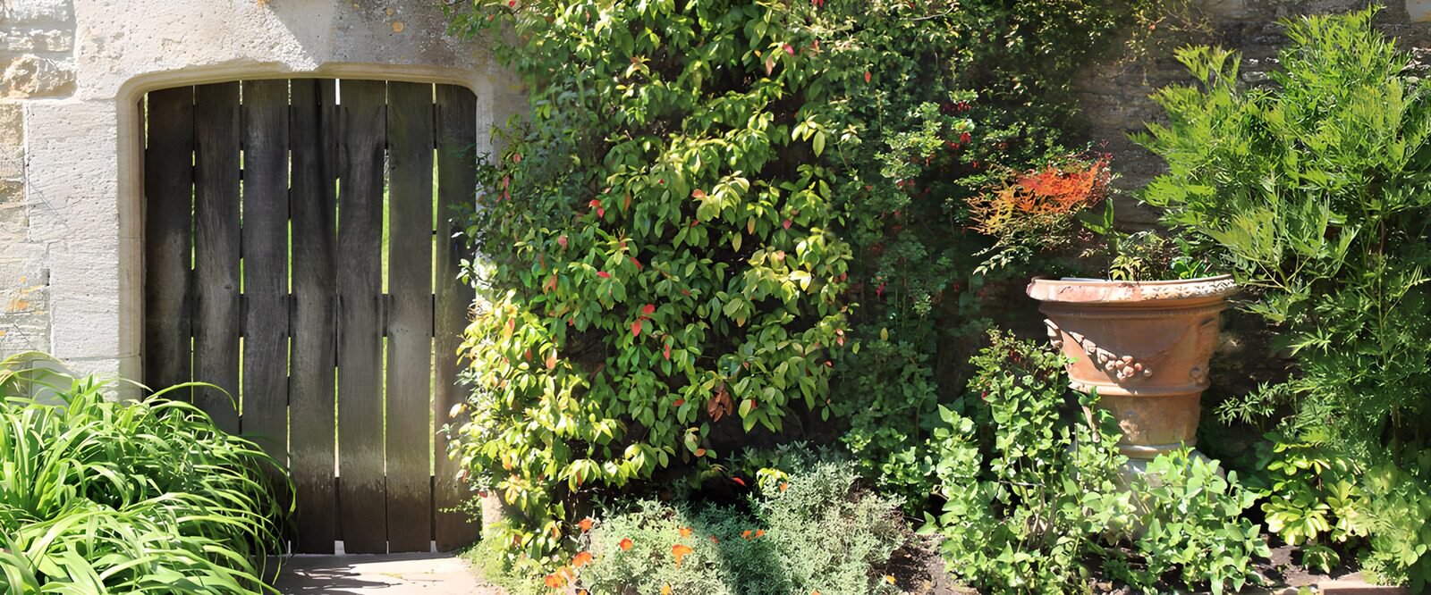 OCCOM2446866: Secret Garden Gate
