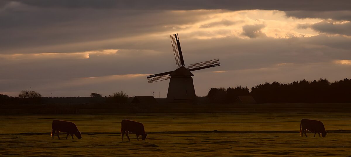 Tranquil Pastures at Dusk