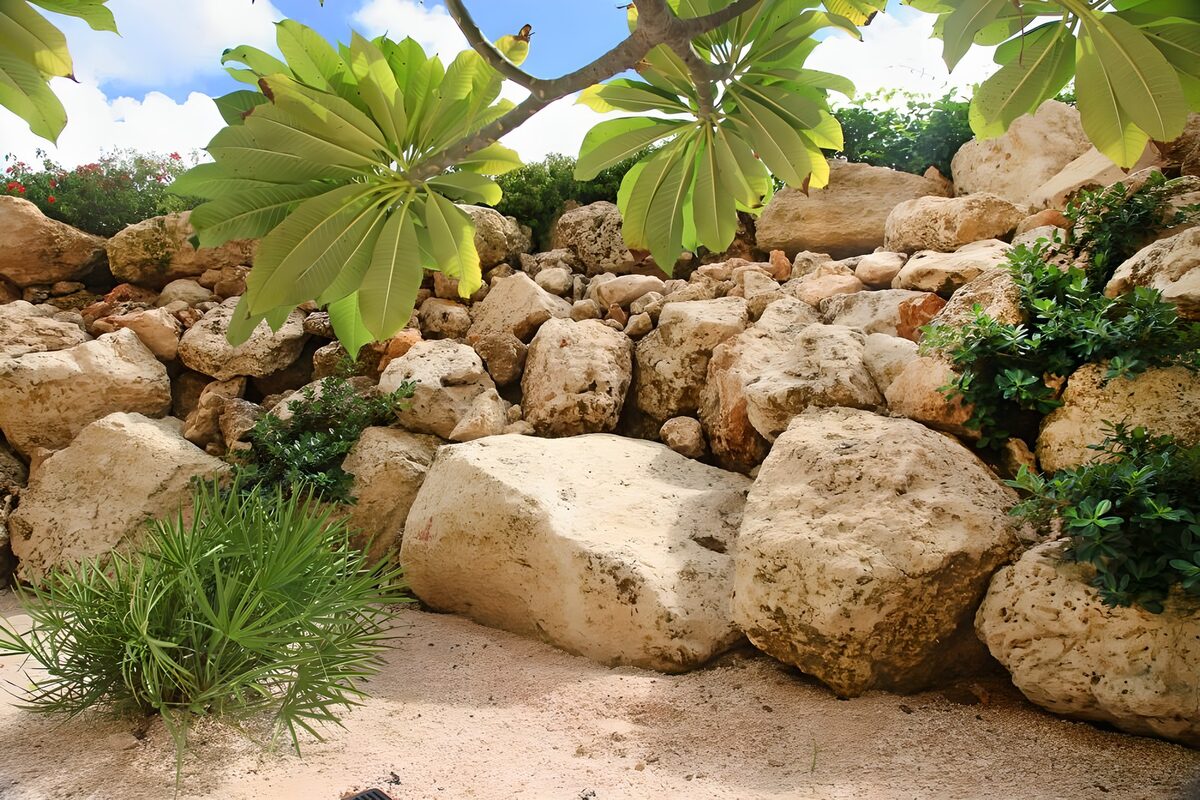 Serene Garden Oasis