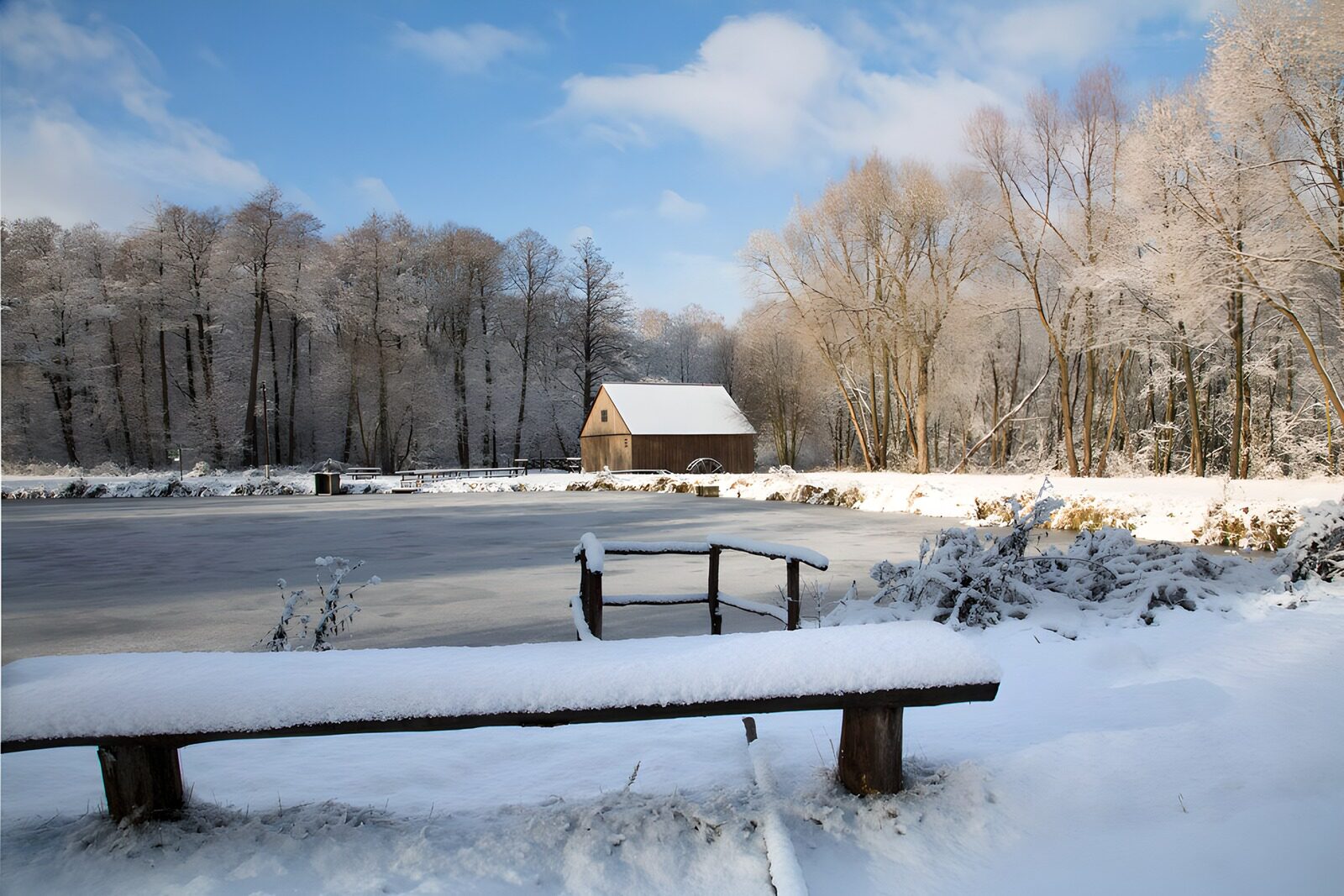 OCCOM8797375: Winter Serenity at the Frozen Lake