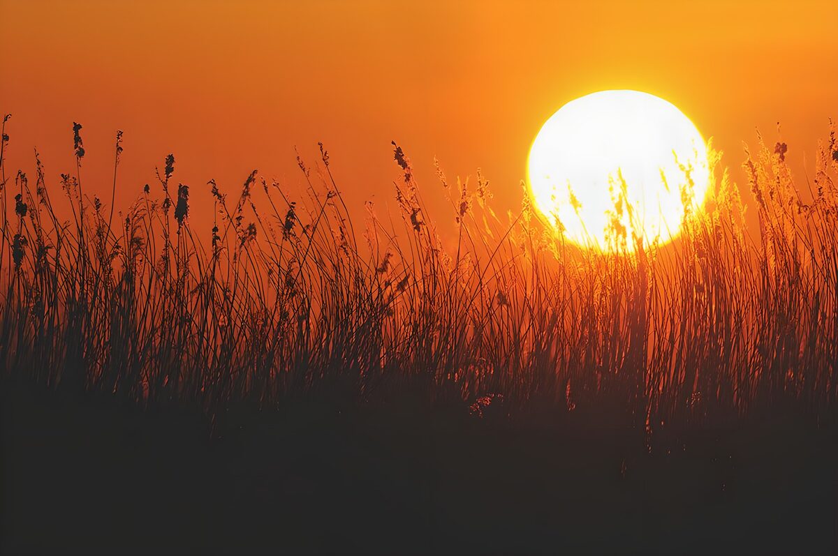 Golden Dawn Horizon