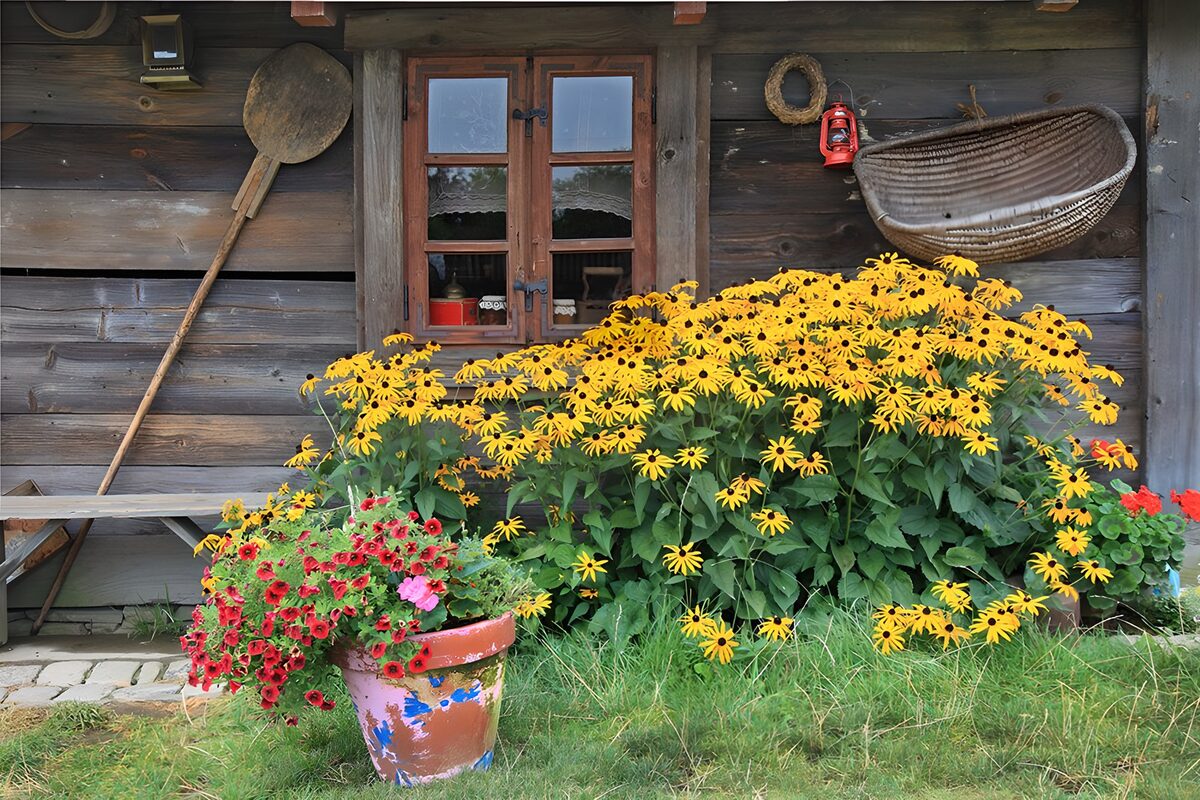 Rustic Charm with Vibrant Blooms