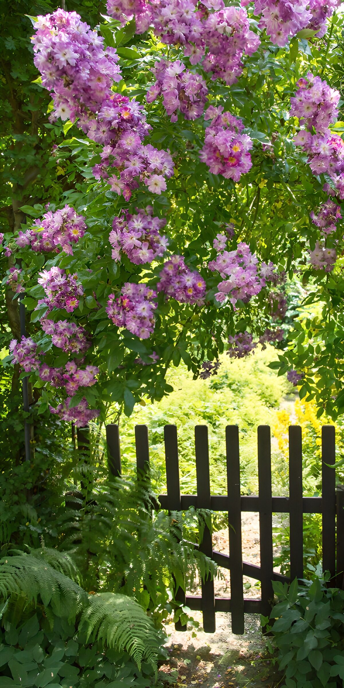 OCCOM3990750: Blooming Gateway