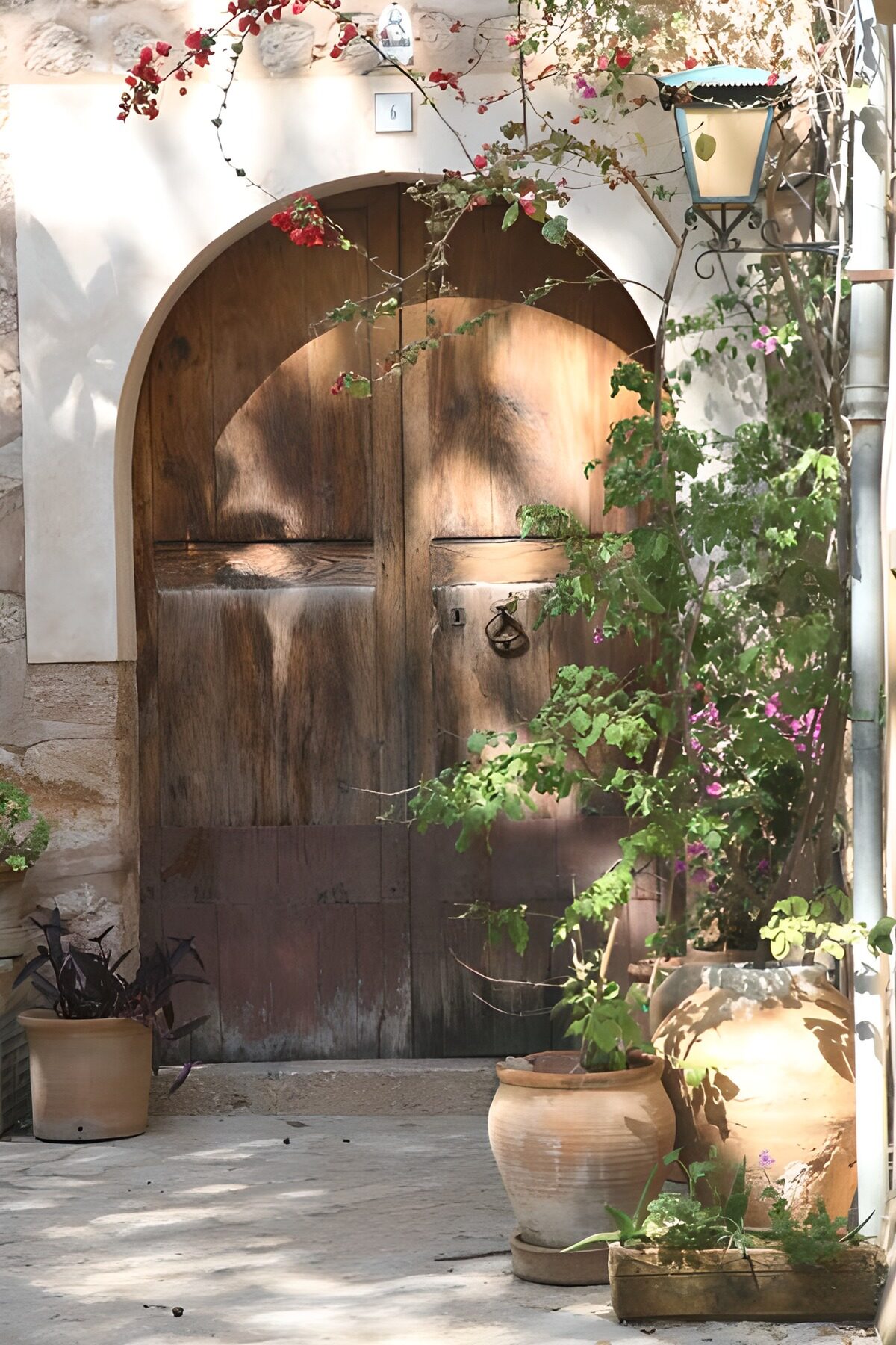 Charming Rustic Doorway with Flowers