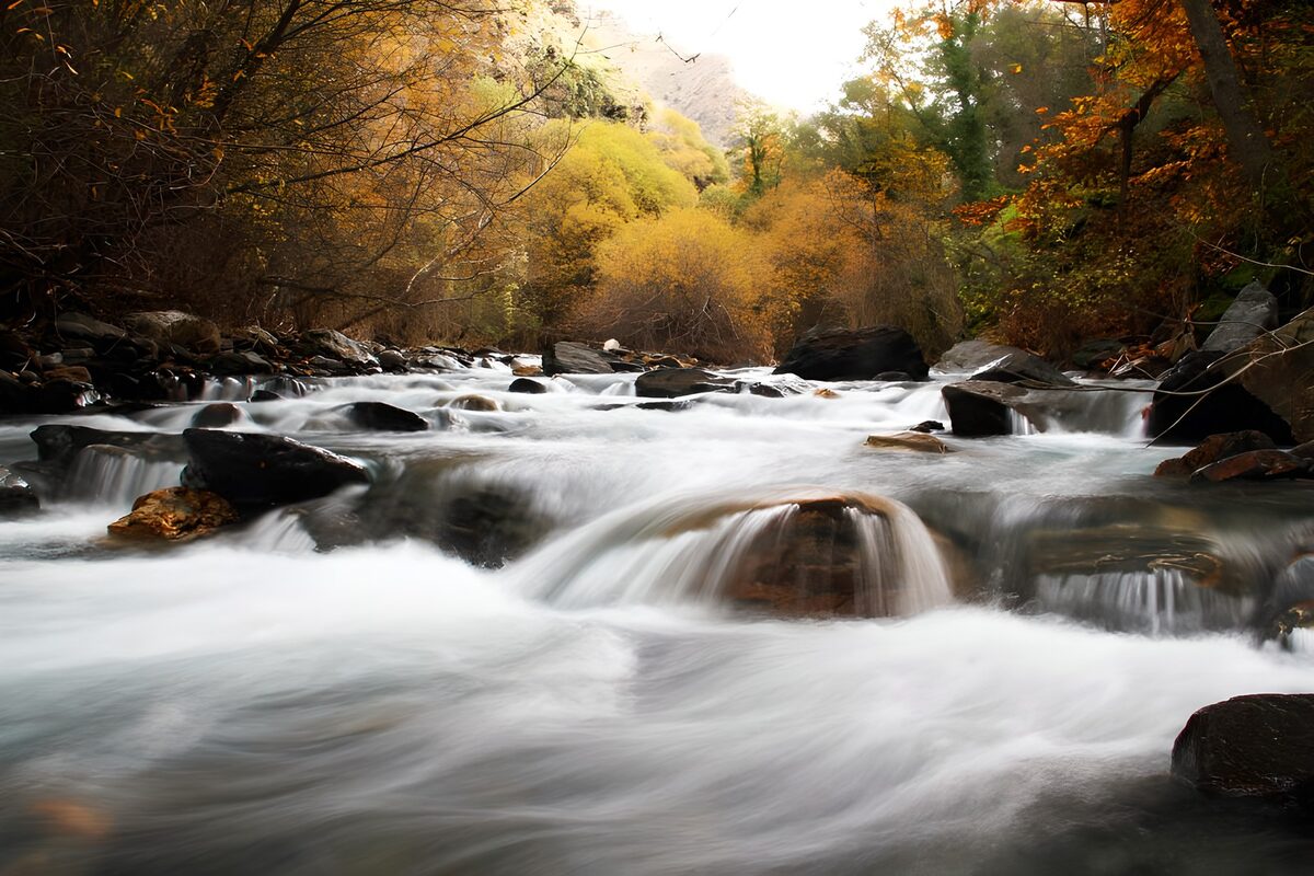 Serene Flow of Autumn Stream