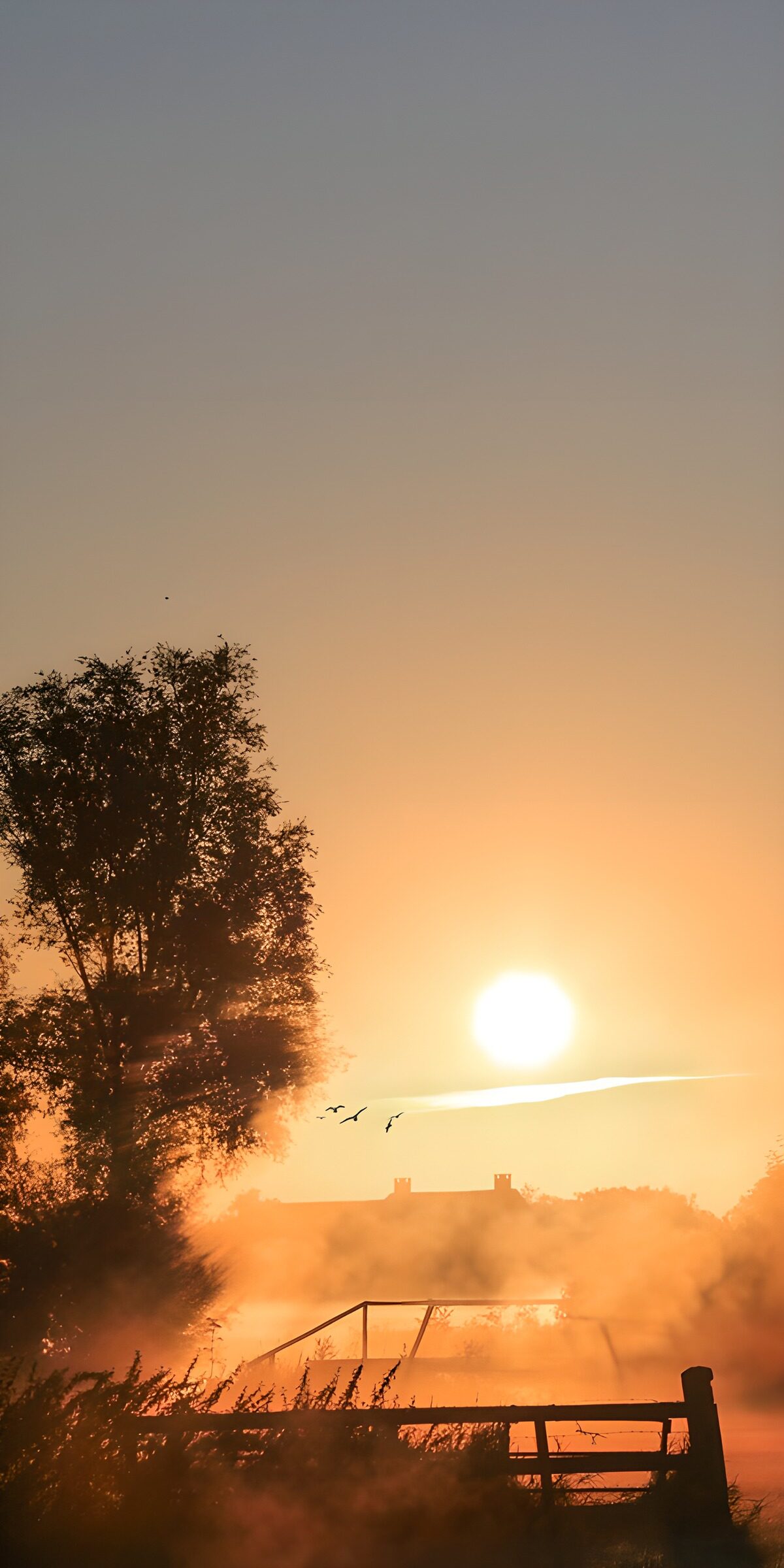 OCCOM8785389: Misty Sunrise Over Serene Waters