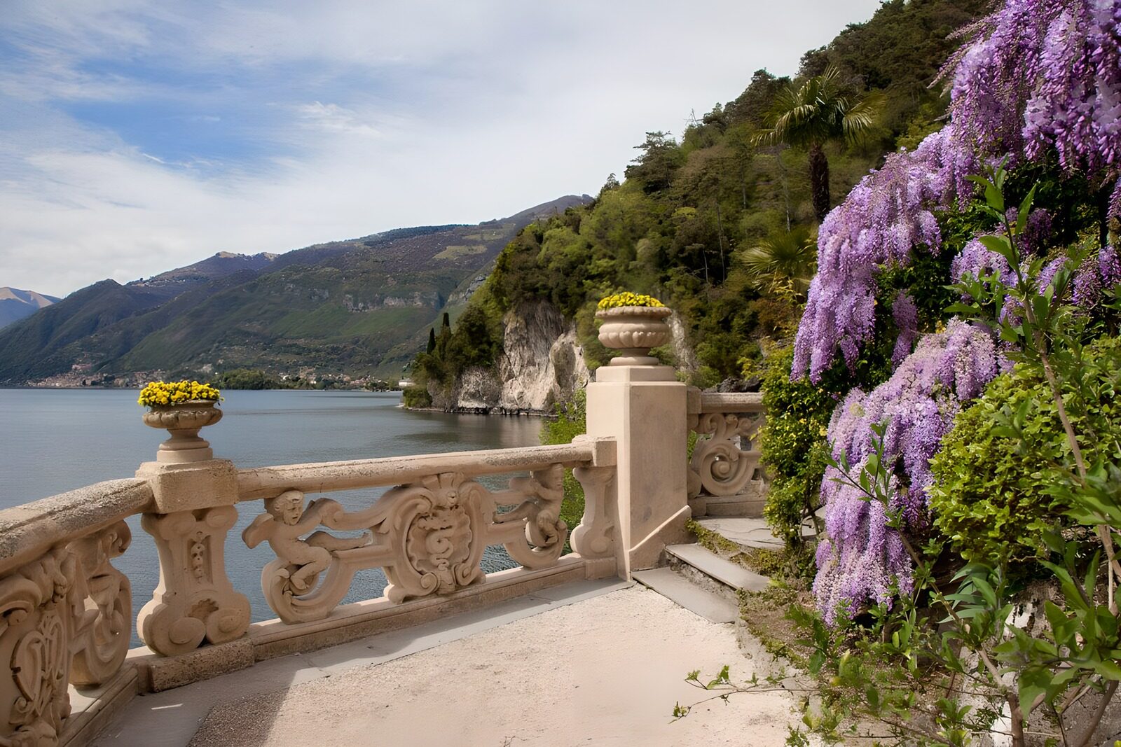 OCCOM6046462: Serene Lakeside Garden Path