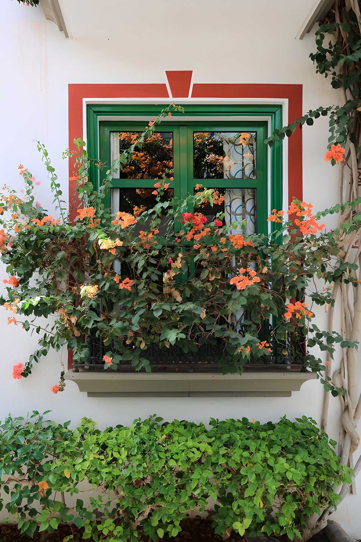 Colorful Floral Window Display