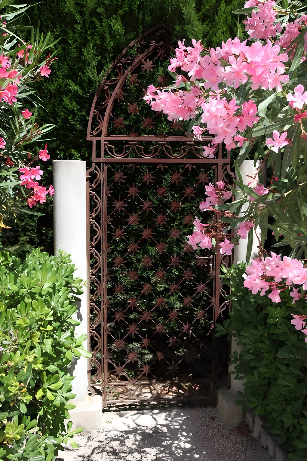 OCCOM3955082: Floral Archway Gate