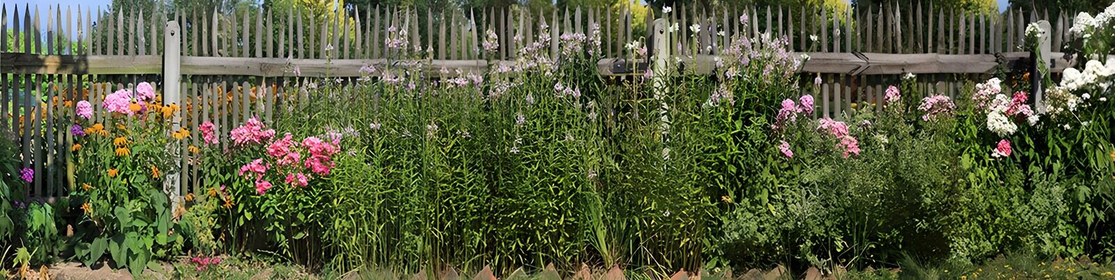 OCCOM8254385: Colorful Flower Garden by Wooden Fence