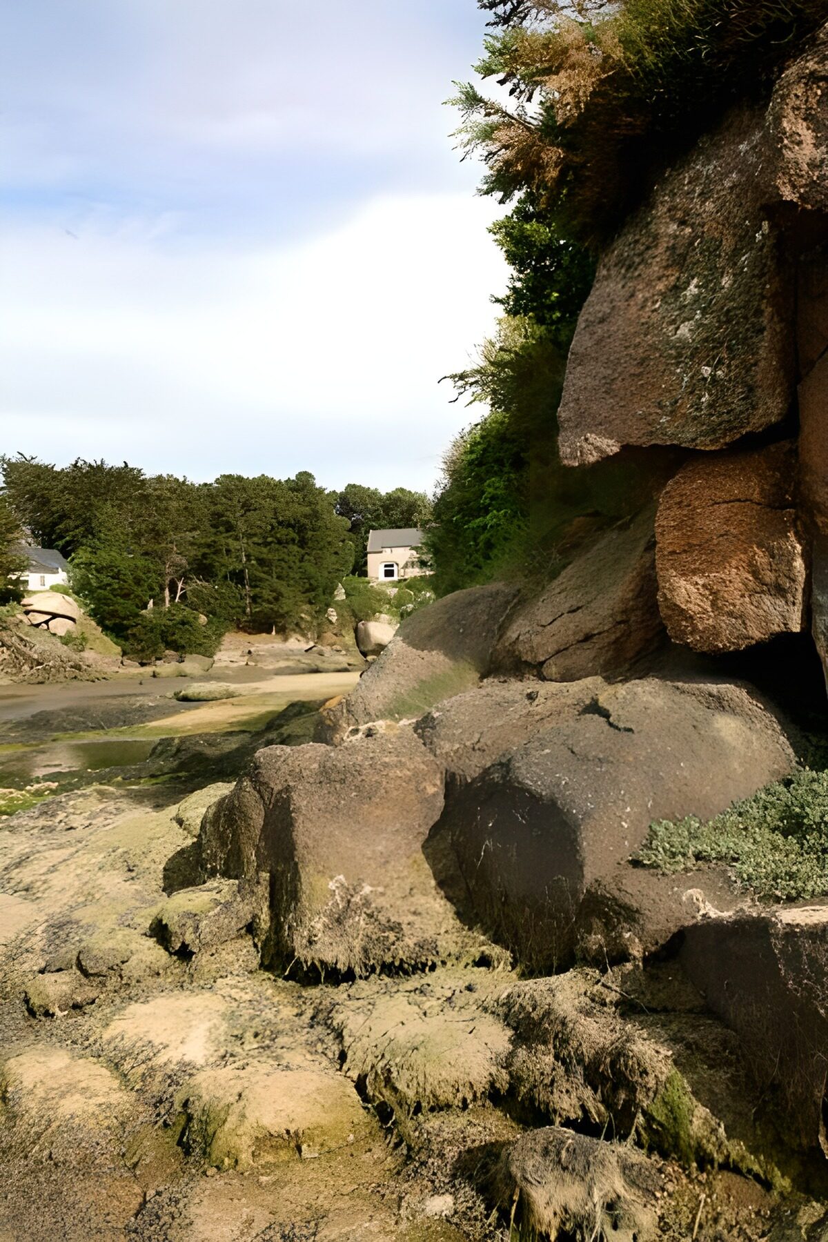 OCCOM4650013: Coastal Rock Formation at Low Tide