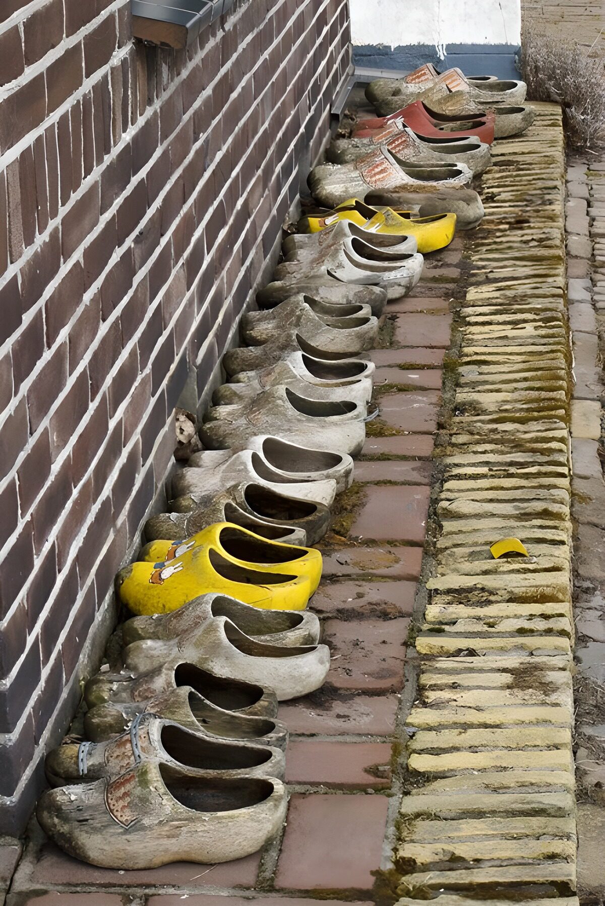 OCCOM7285289: Colorful Clogs Lined Up by the Wall