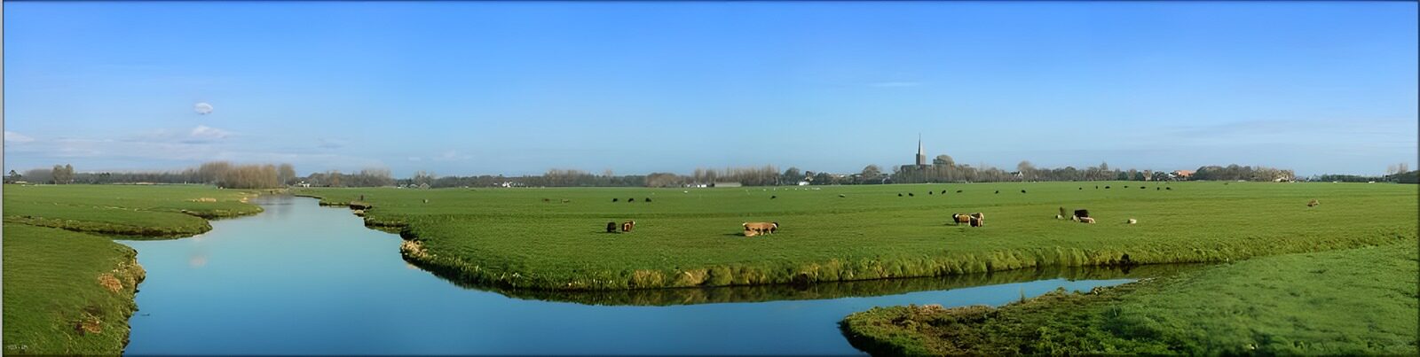OCCOM3824622: Serene Pastoral Landscape with Cows