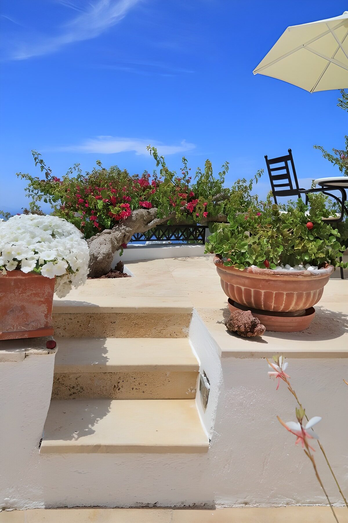 Serene Garden Steps by the Sea