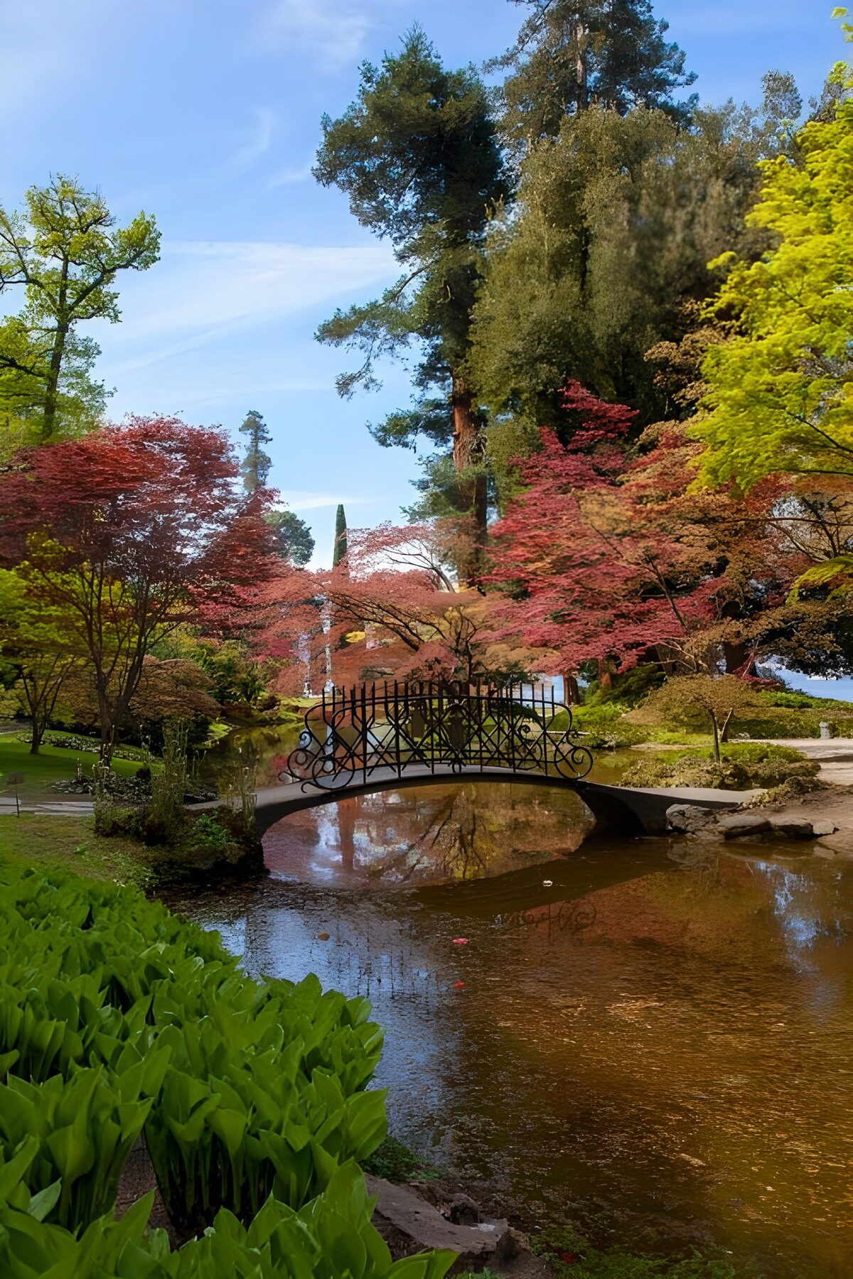 Tranquil Bridge Over Reflective Waters