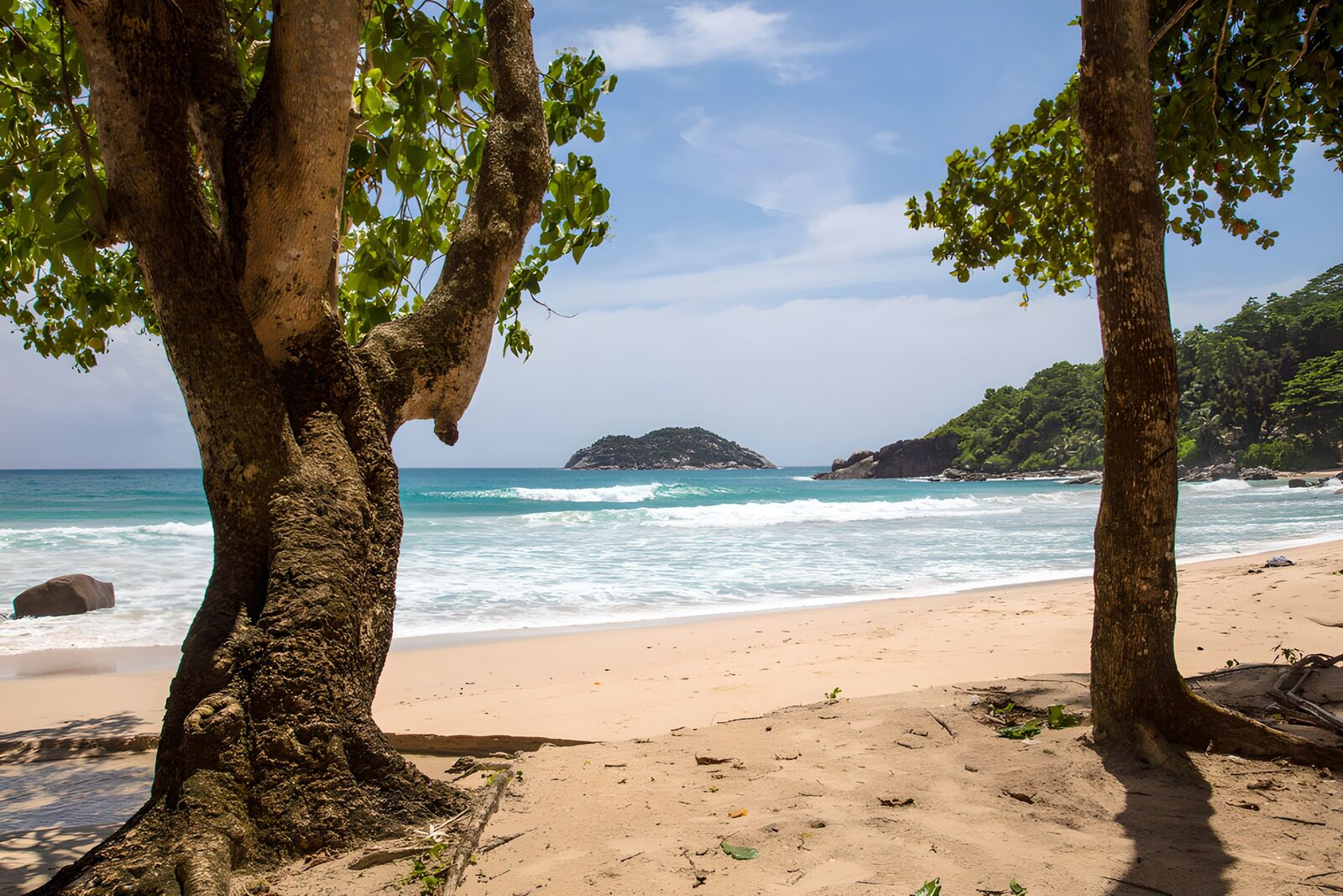 OCCOM2205384: Serene Beach View with Lush Greenery