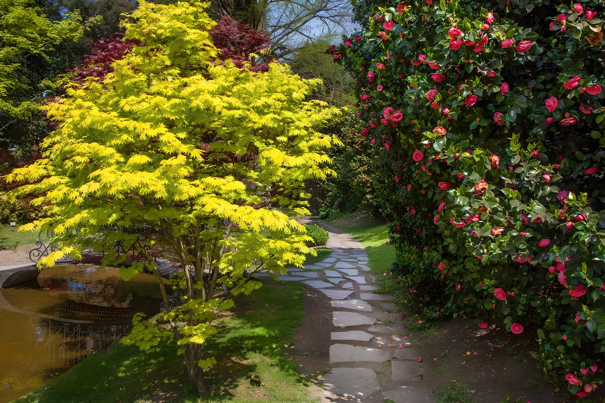 Vibrant Garden Pathway in Spring
