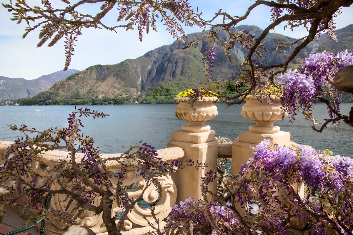 OCCOM3076723: Serene Lakeside View with Blossoming Vines