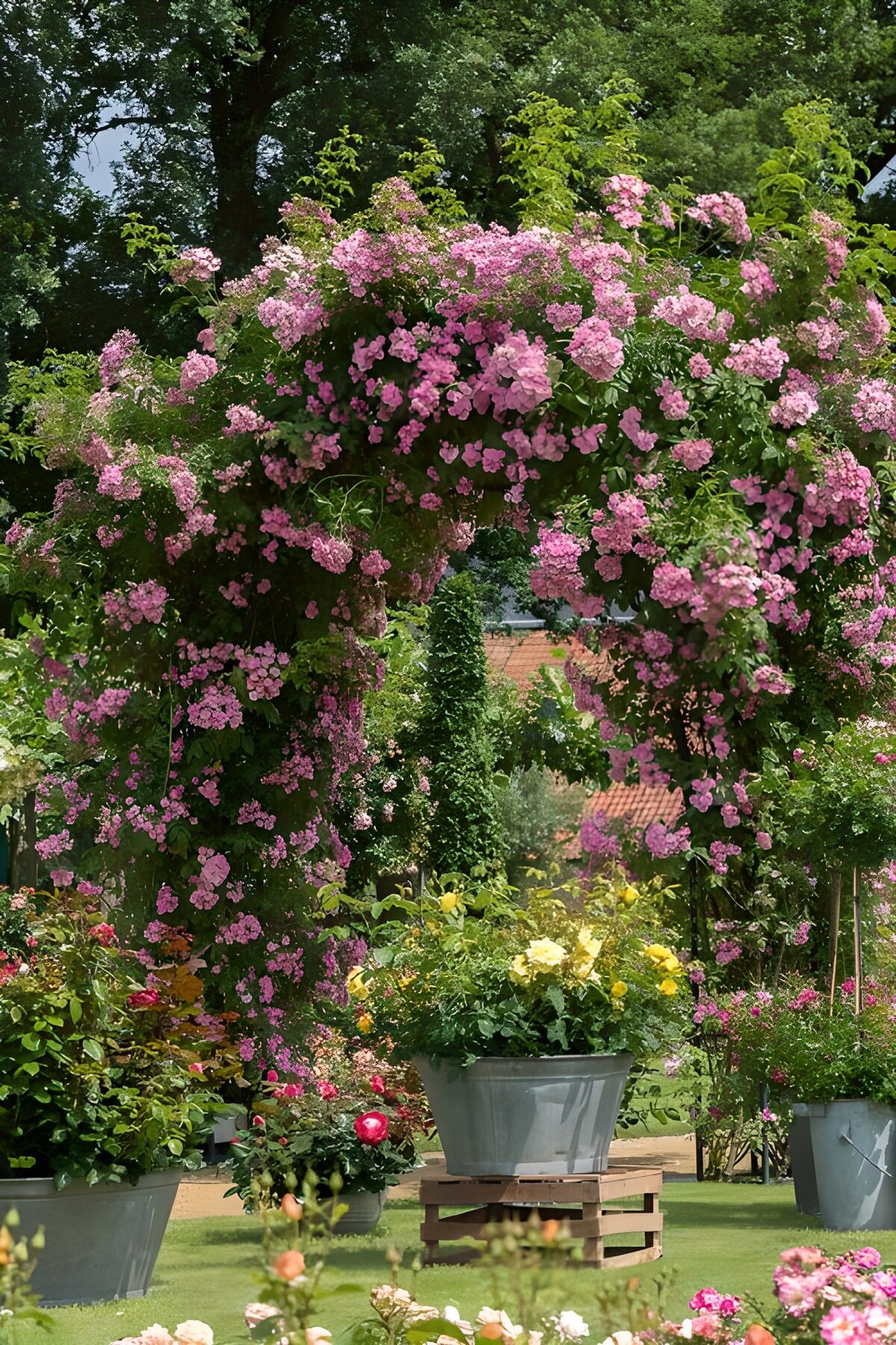 OCCOM7361056: Blooming Garden Archway