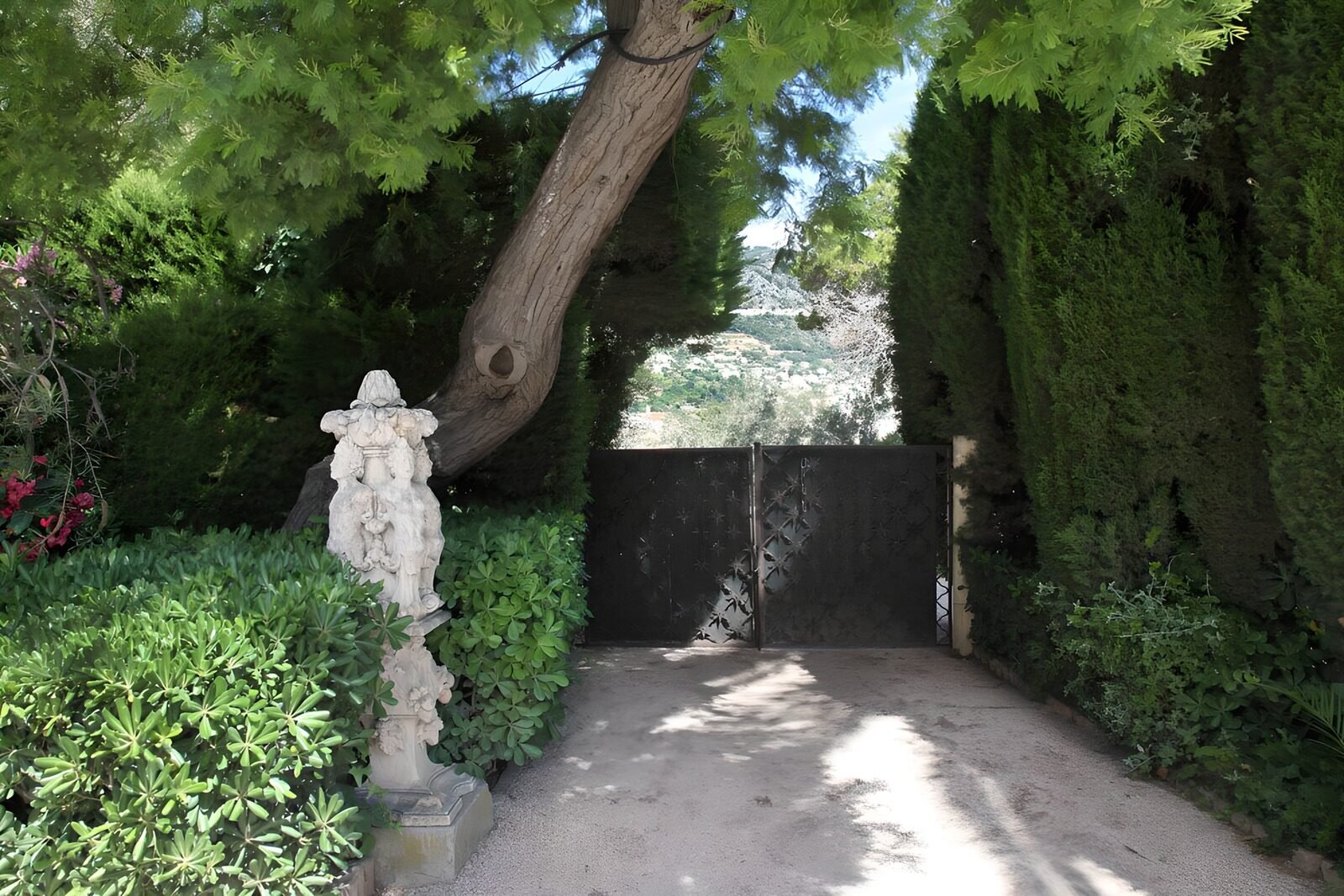 OCCOM6142567: Elegant Garden Gate Among Lush Foliage