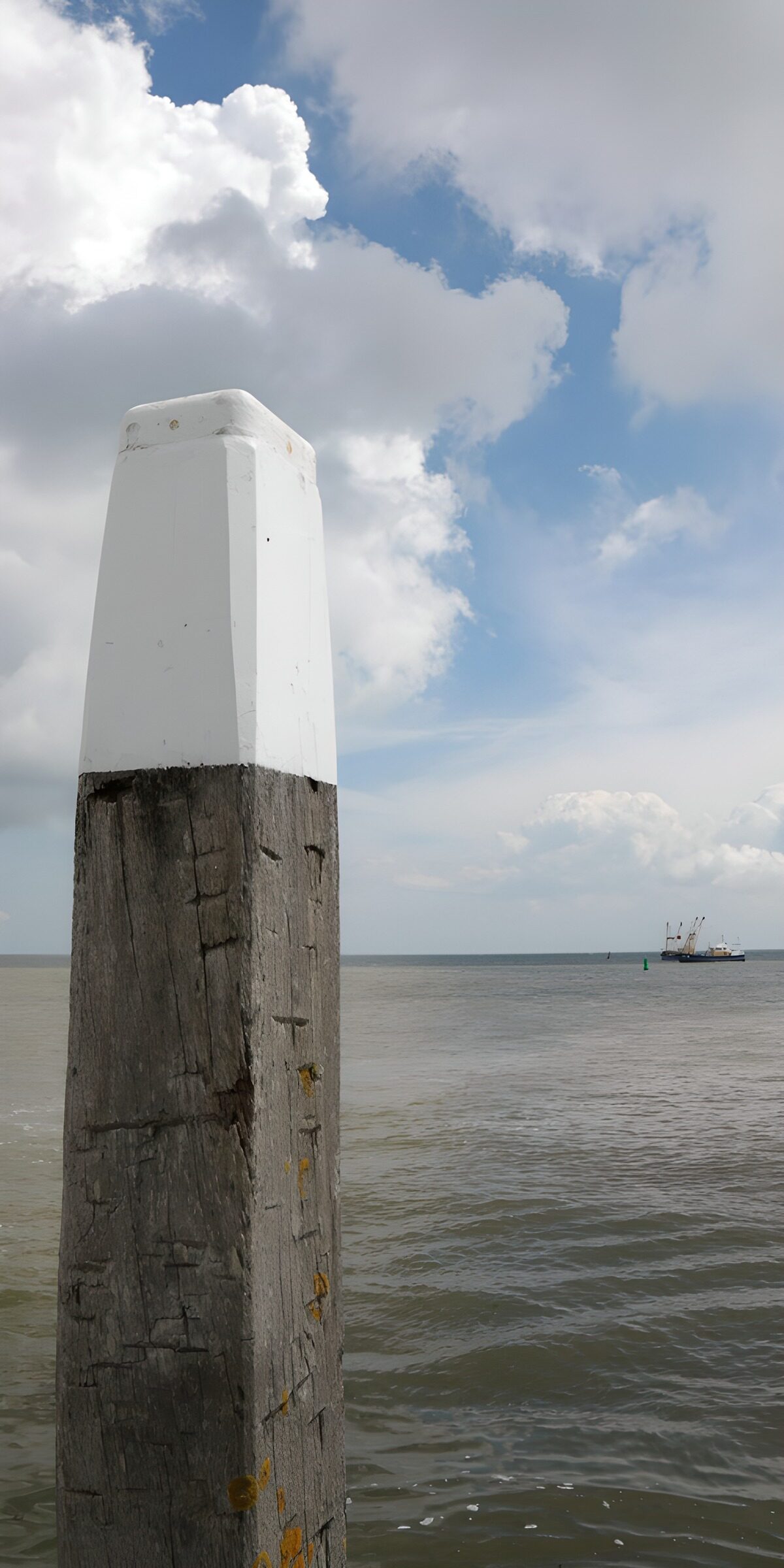 OCCOM1542577: Coastal Post Under a Blue Sky