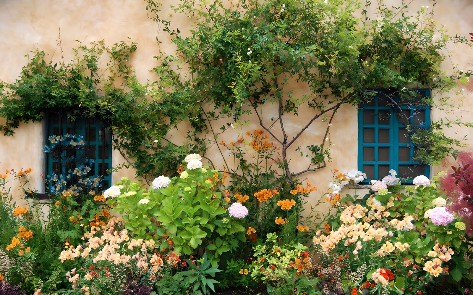 OCCOM5340962: Wall with flowers and blue windows