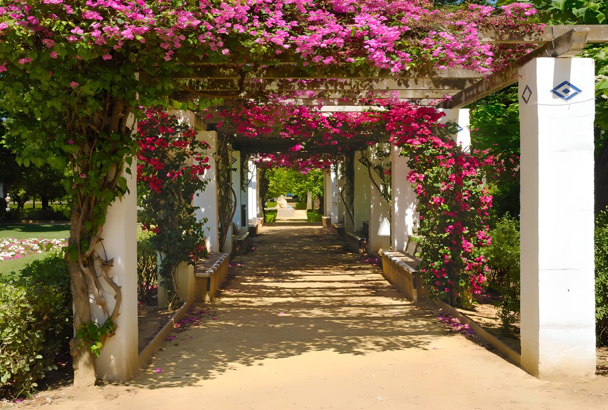 Outdoorcanvas Bougainville