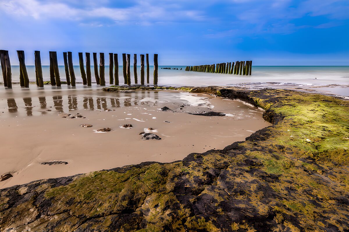 OCCOM8435241: Serene Coastal Reflections