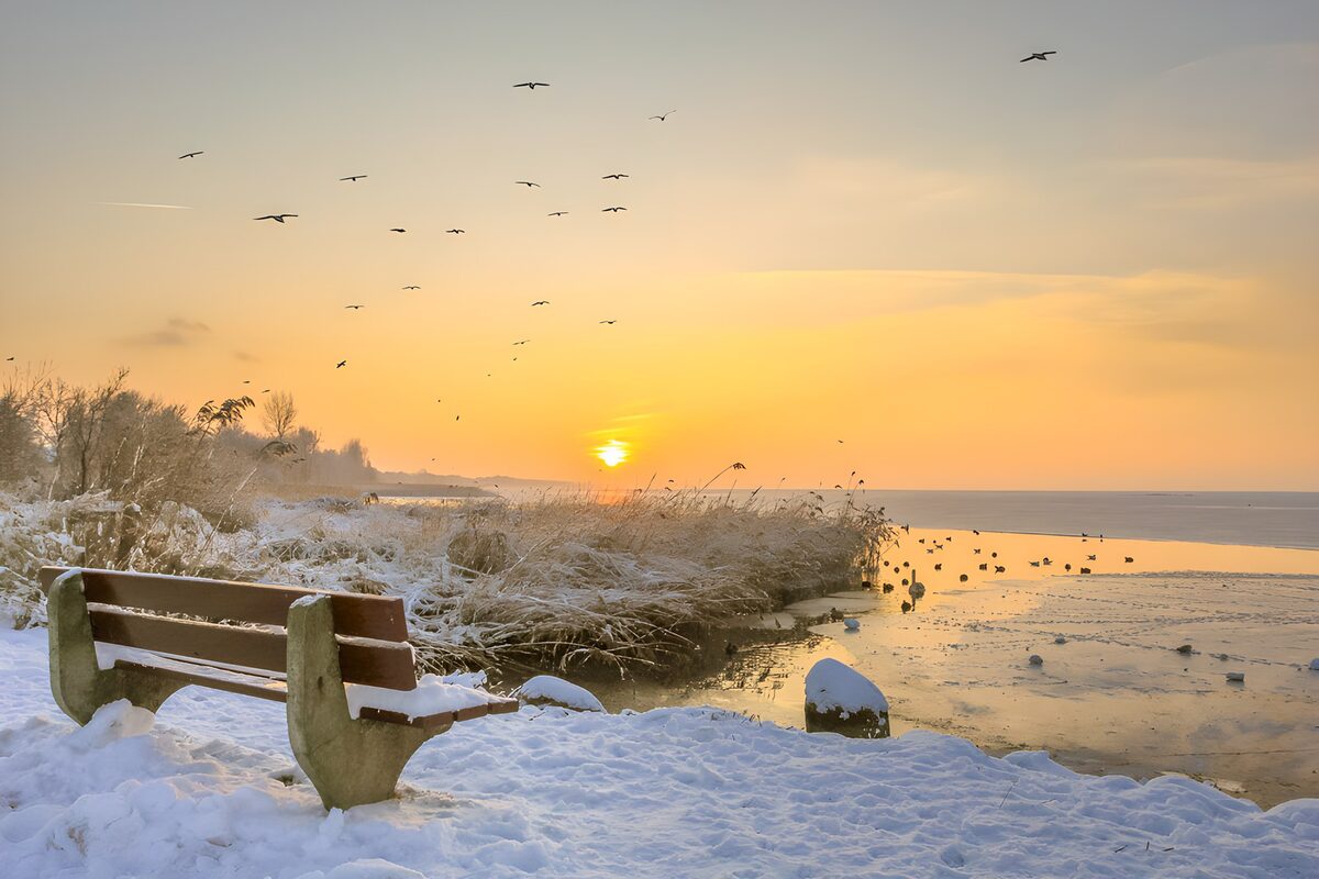 Serene Winter Sunset by the Water