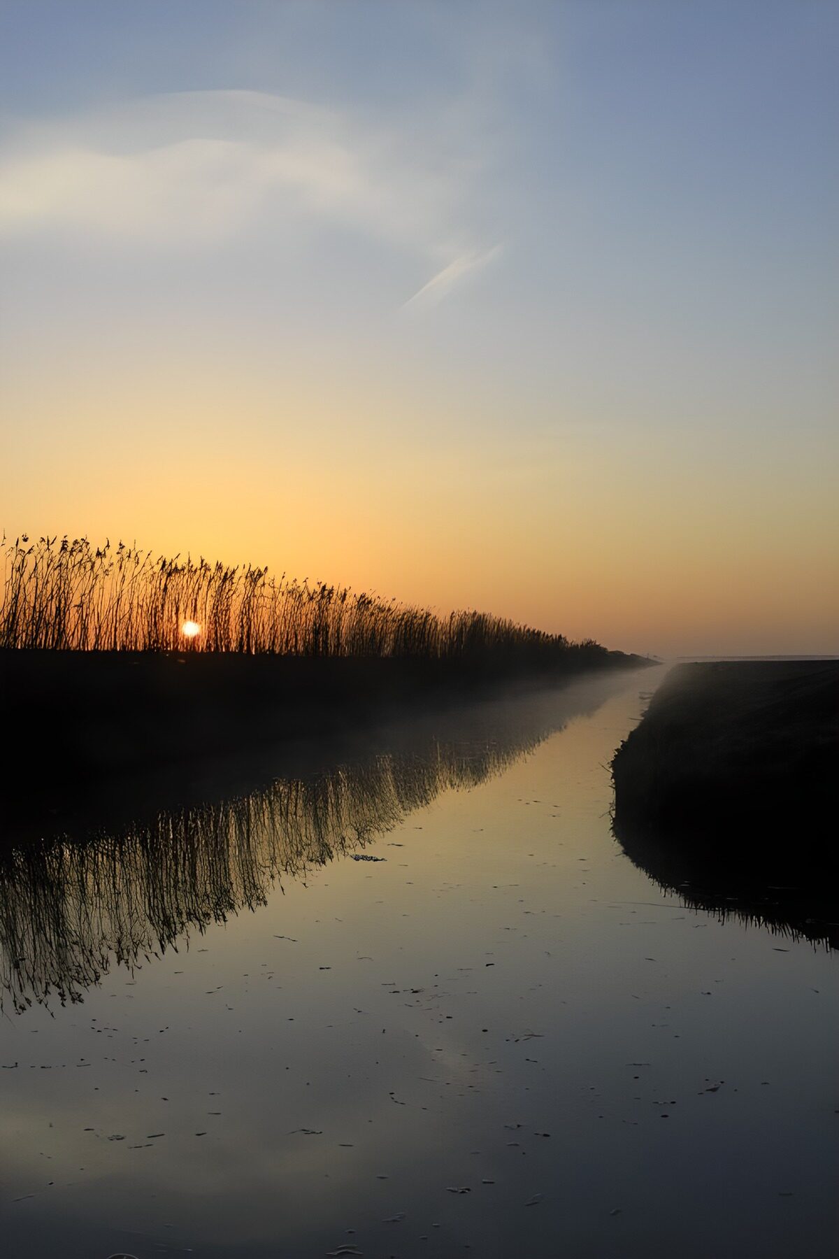OCCOM8541090: Serene Sunrise Over the Tranquil River