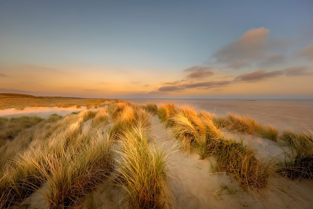 Serene Dunes at Sunset