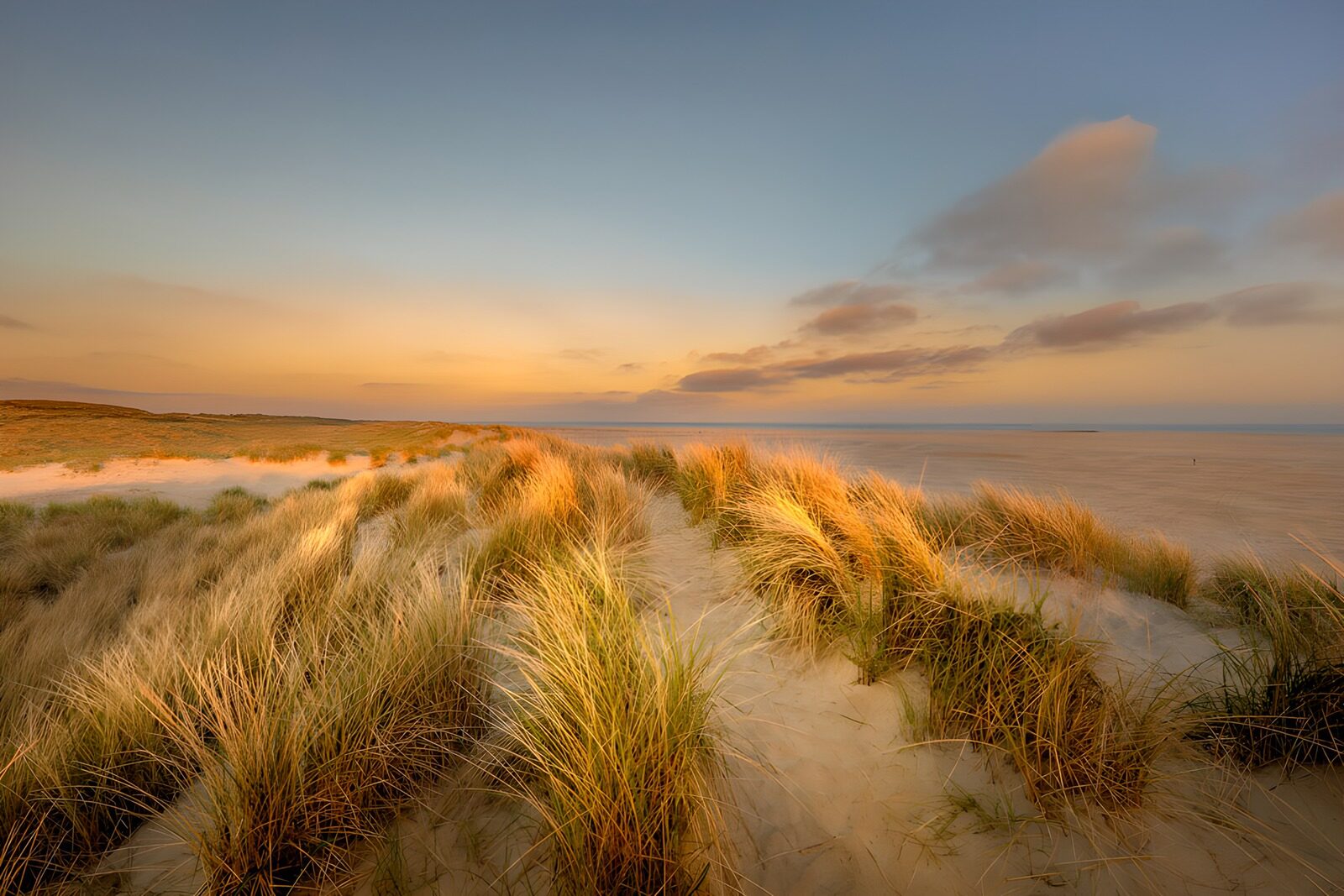 OCCOM5464162: Serene Dunes at Sunset