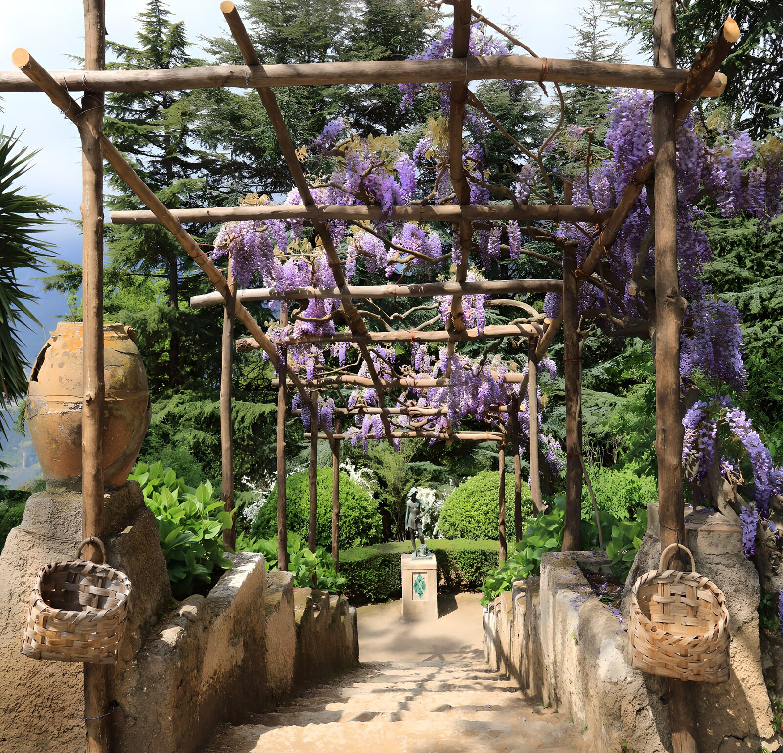 OCCOM9722337: Serene Wisteria Pathway