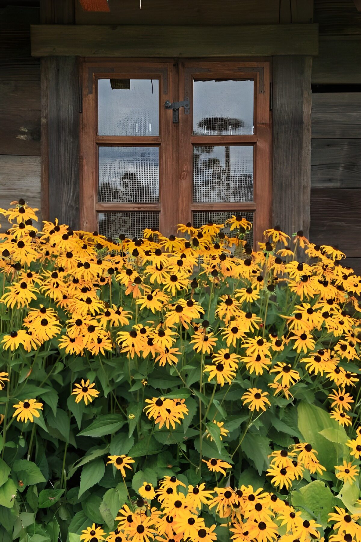 Rustic Charm with Yellow Flowers