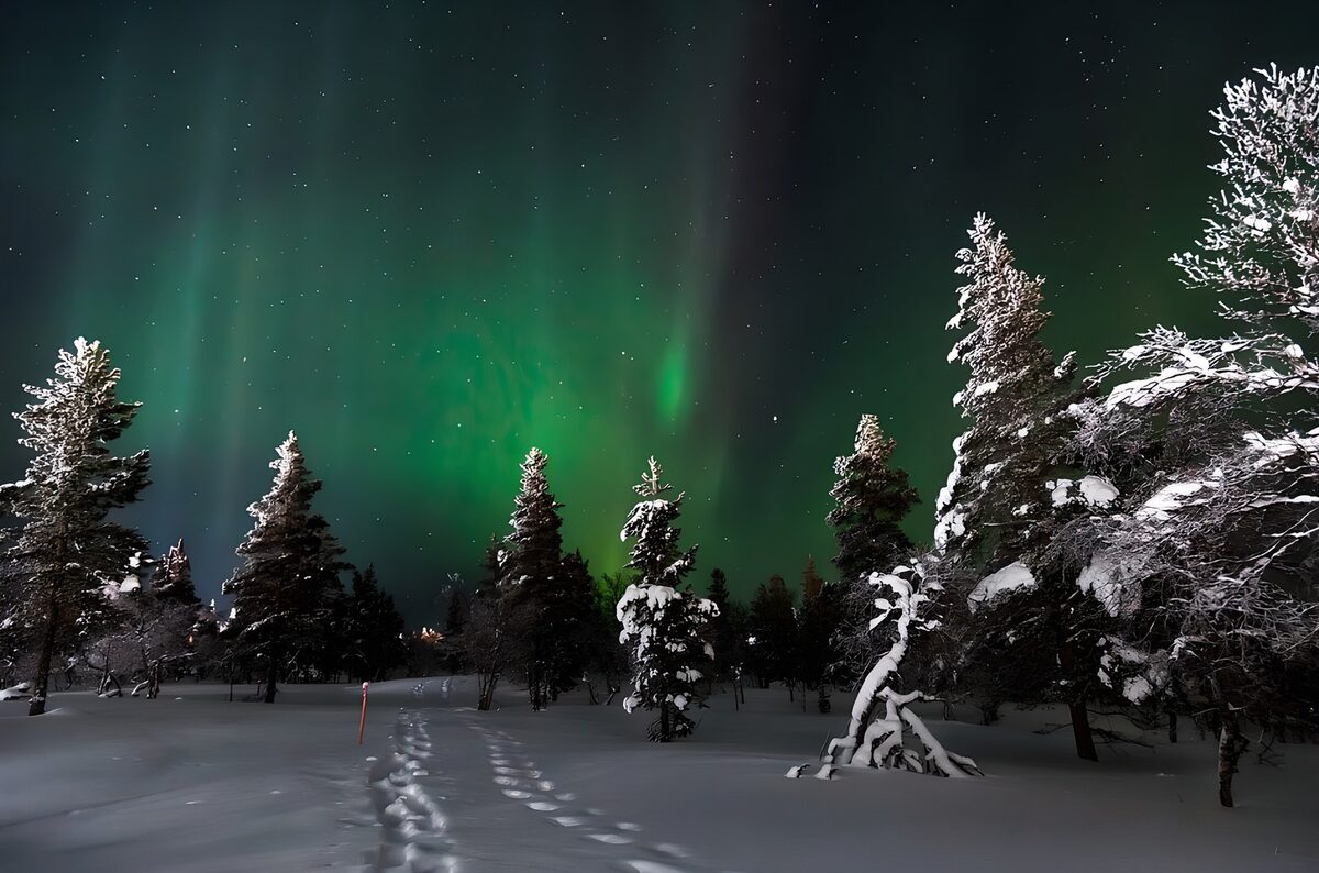 Enchanted Northern Lights Over Snowy Landscape