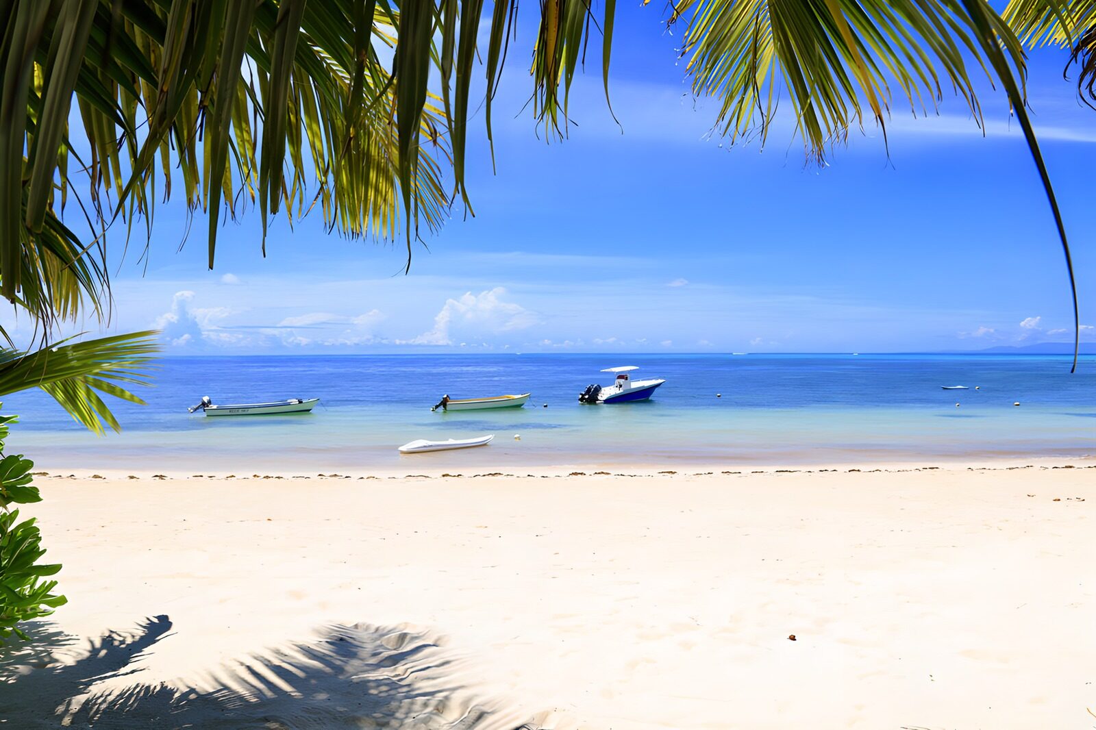 OCCOM9506197: Tranquil Beach with Boats Under Blue Skies