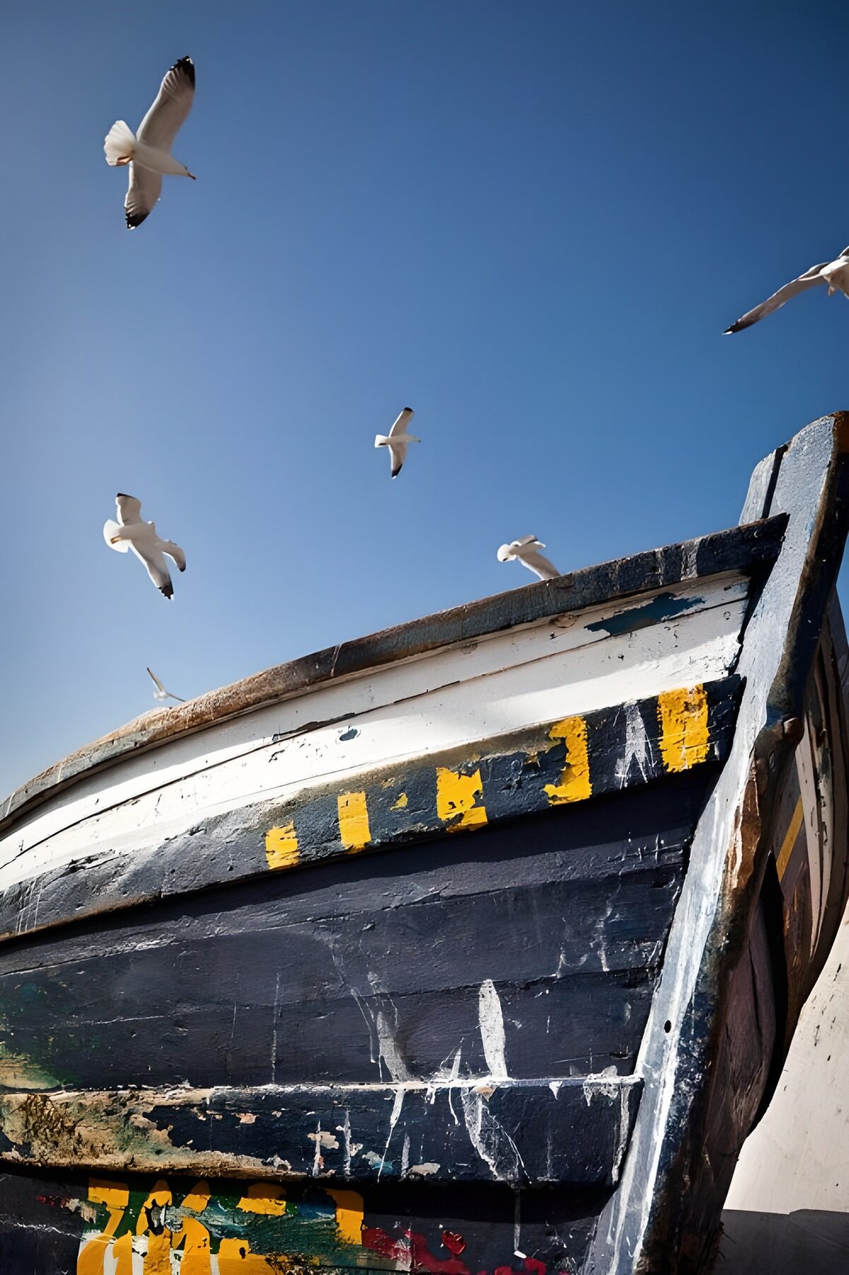 OCCOM7418107: Seagulls Over a Weathered Boat