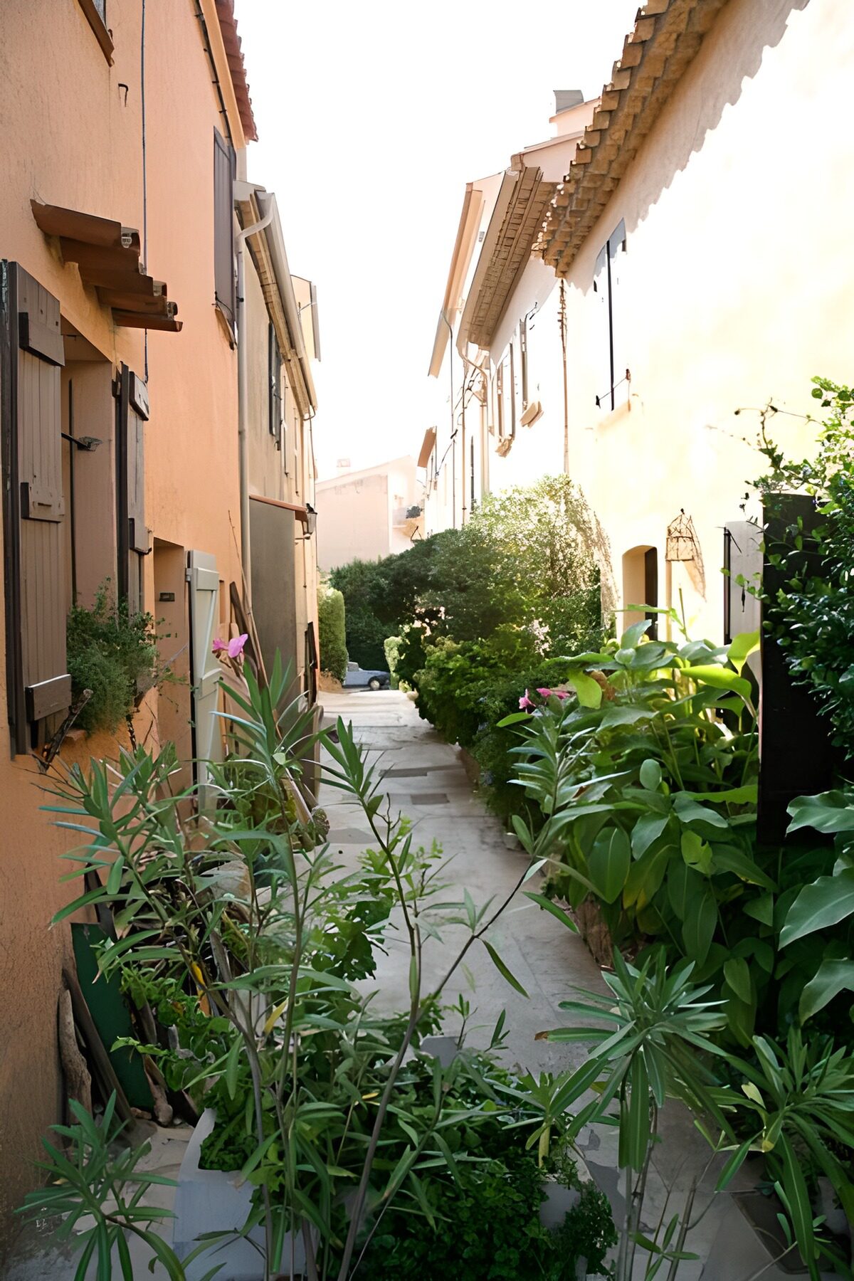 OCCOM2916395: Serene Alleyway in a Quiet Village