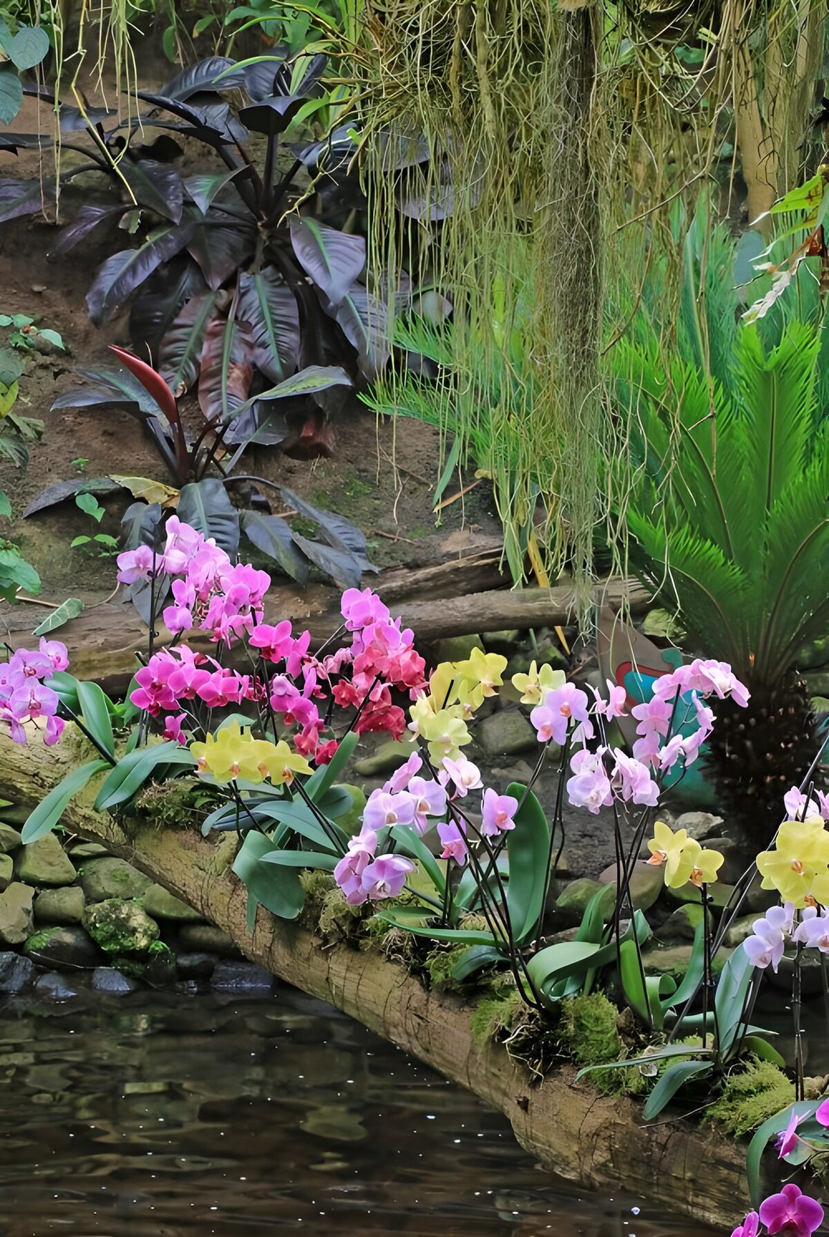 OCCOM1287334: Vibrant Orchid Paradise