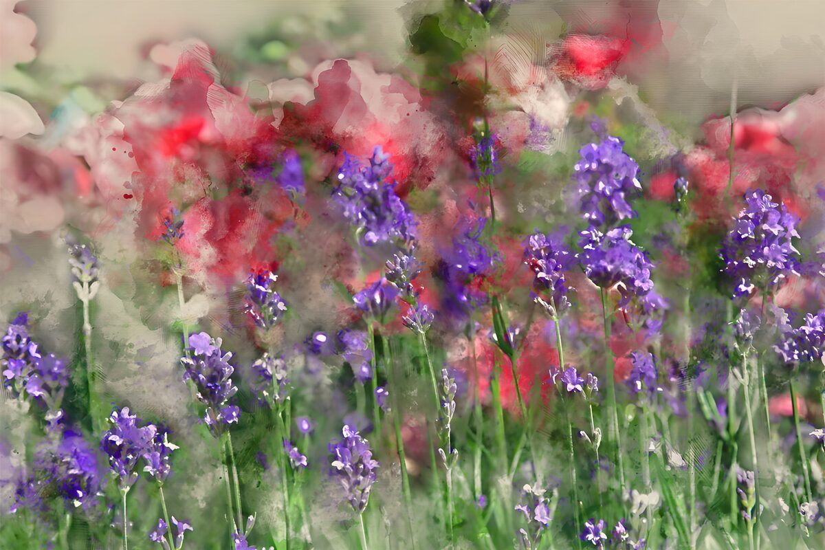 Vibrant Blooms in Harmony
