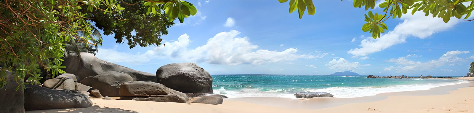 OCCOM3009093: Tranquil Beach Paradise